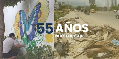 Nuevo Bosque ya tiene 55 años, y pide florecer como regalo de cumpleaños