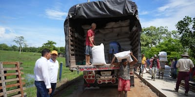 Gobierno Petro comienza la entrega de suplemento alimenticio para animales en La Mojana