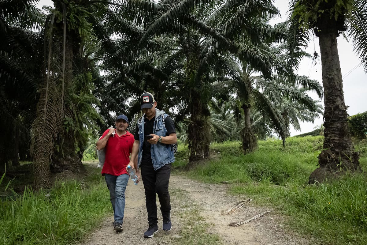 Amenazas de la ruta migratoria en Guatemala: dengue, arrestos y el cambio climático