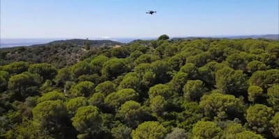 Drones, sensores y satélites: la lucha contra los incendios forestales