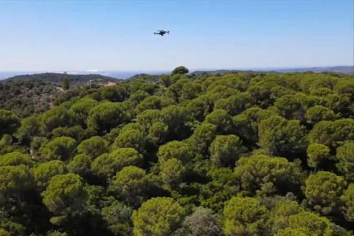 Drones, sensores y satélites: la lucha contra los incendios forestales