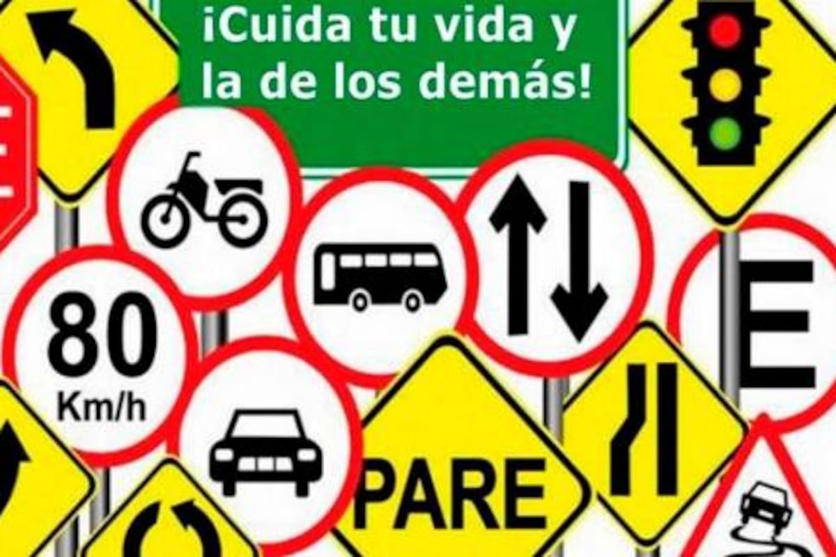 Salva tu vida y la de los demás con estas normas de seguridad y educación vial