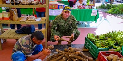 ¡Éxito total! Mercado campesino en Bocagrande logró ventas superiores a $18 millones