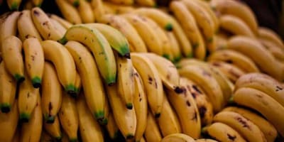 Banano cavendish valery, producto más exportado de colombia a ucrania en 2021