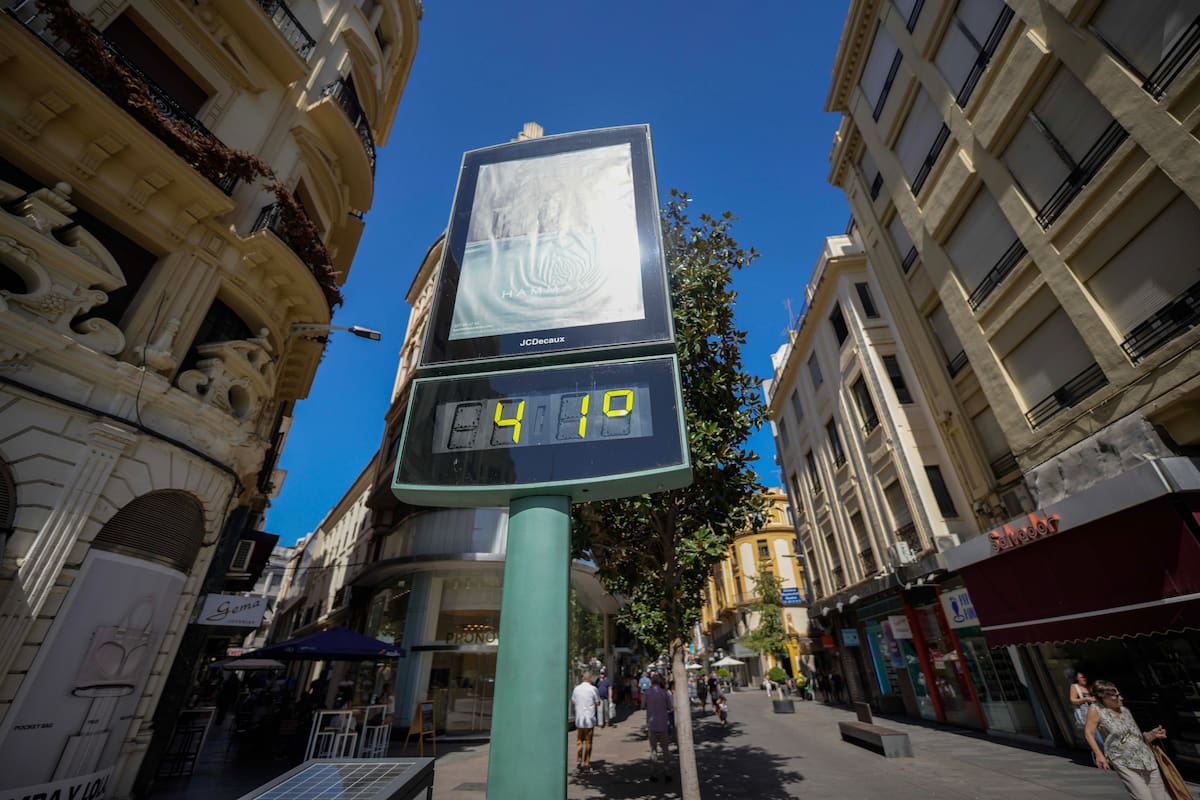 OMS alerta sobre los riesgos del cambio climático en embarazadas, niños y adultos mayores