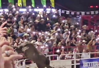 Video: Toro de rodeo salta valla de una arena, tres personas resultan heridas