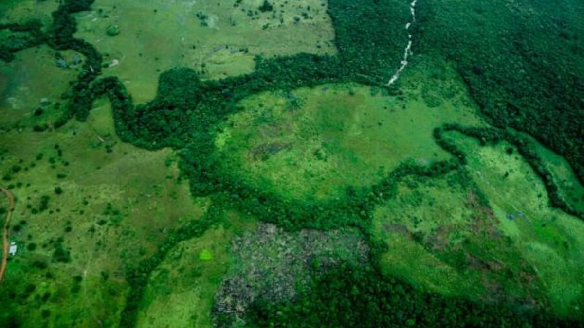 La deforestación que devora el Amazonas. //Foto: Colprensa.