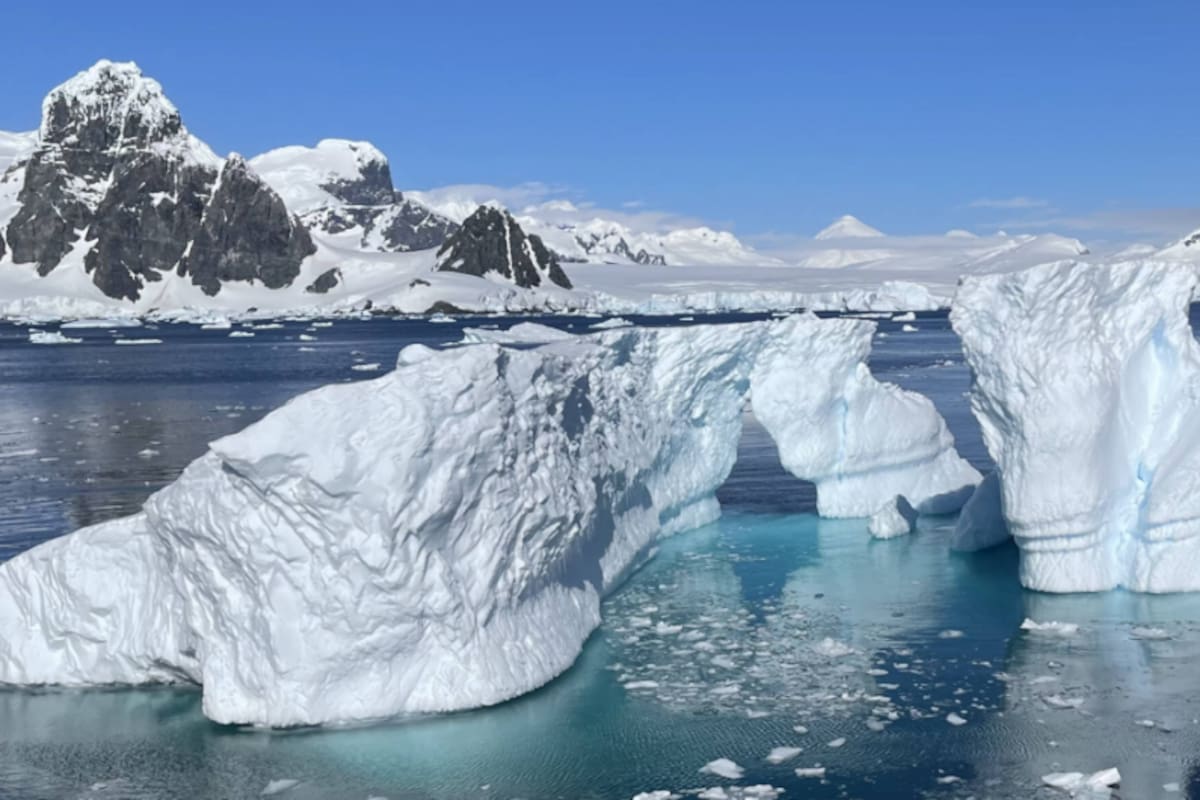 La Antártida sufre la crisis climática y requiere esfuerzos globales