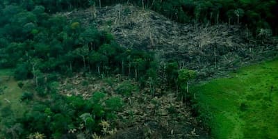 Galería: La selva herida, retratos de la deforestación del Amazonas